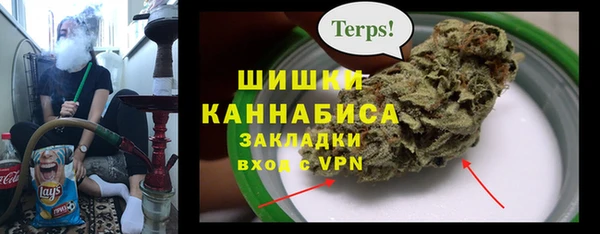 a pvp Гусев