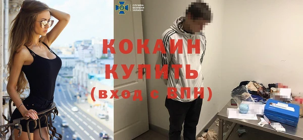 мдпв Гусь-Хрустальный