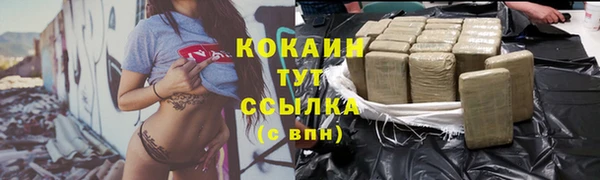 a pvp Гусев