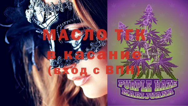 мдпв Гусь-Хрустальный