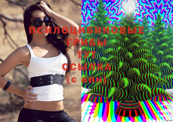 a pvp Гусев