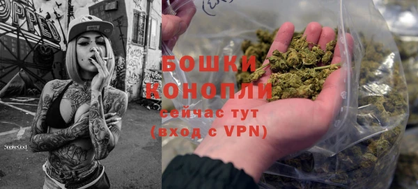 apvp Гусиноозёрск