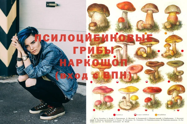 мдпв Гусь-Хрустальный