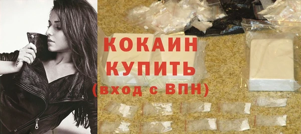 мдпв Гусь-Хрустальный