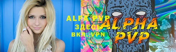 apvp Гусиноозёрск