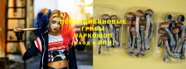 apvp Гусиноозёрск
