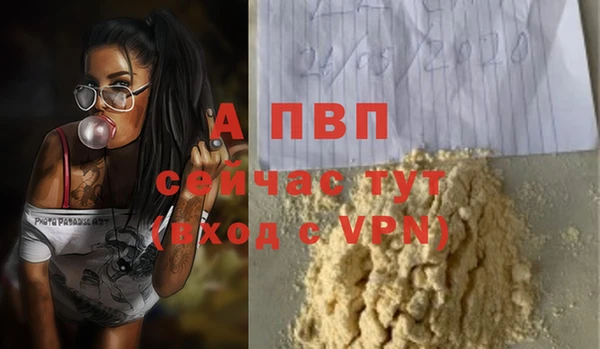 a pvp Гусев