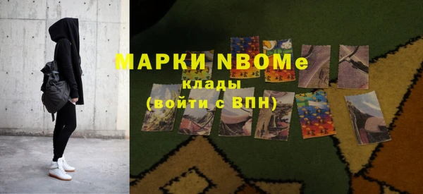 мдпв Гусь-Хрустальный