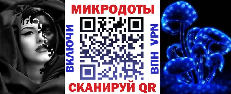 Купить закладки  Новоузенск  Псилоцибиновые грибы Psilocybe 